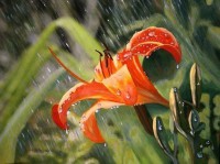 /album/fenykepgaleria/nyari-zapor-jpg/